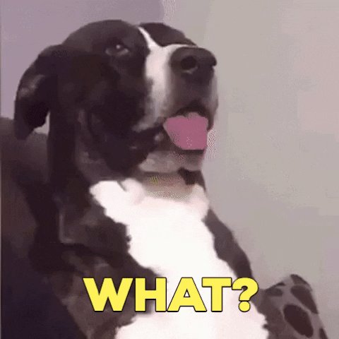 Confused What Is It GIF by ...
