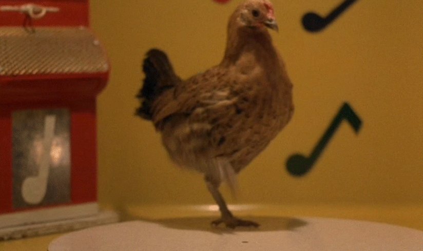 Remember:
No one can stop the dancing chicken.

Happy birthday, Werner Herzog; years go by in waiting. 