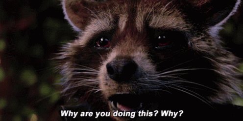 Rocket Raccoon Why Are You ...