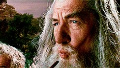Smoke out the Gandalf pipe and play Skyrim? Yeahhhhh 😂 https://t.co/sWgOZXbwES