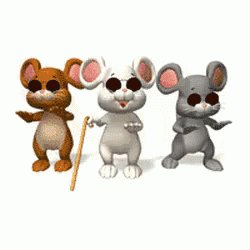 3 Blind Mice GIF