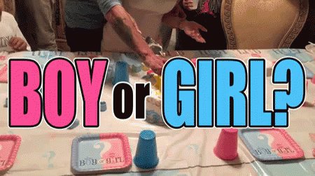 Boy Or Girl GIF