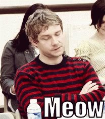 Happy birthday Martin Freeman :D  