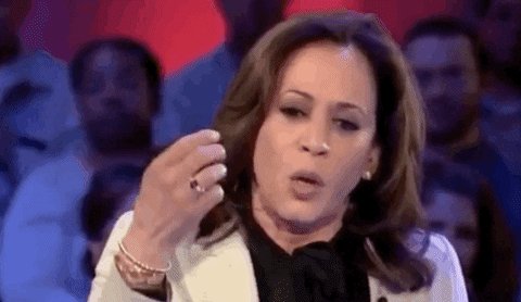 Kamala Harris Feminism GIF