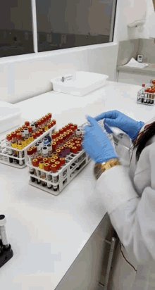 Lab Fontana GIF