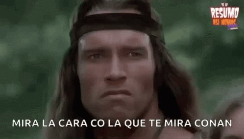 Arnold Conan GIF