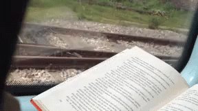 Book Lovebook GIF