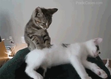 massage GIF