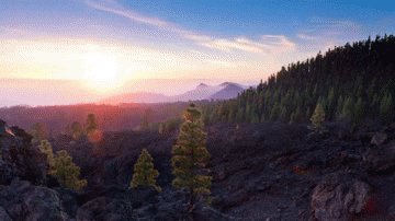 sunrise dawn GIF