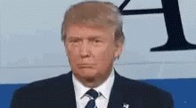 Trump Trump Face GIF