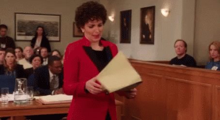 Court Judge GIF