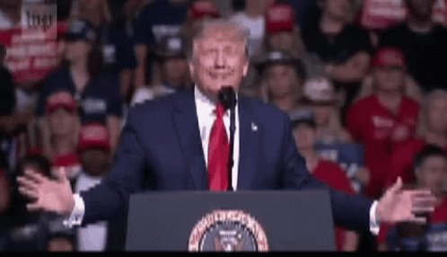 Donald Trump Slow Down GIF