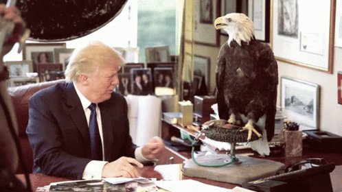 Donald Trump Eagle GIF