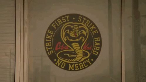 En Este Dojo No Hay Piedad GIF