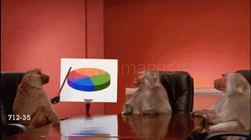 Baboon Graph GIF