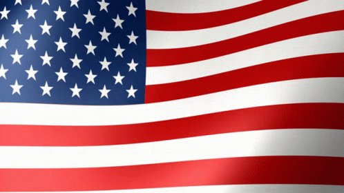 Usa Us Flag GIF