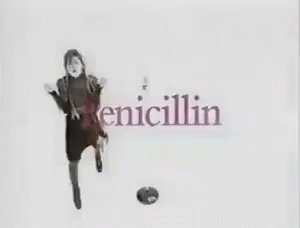 Hakuei Penicillin GIF