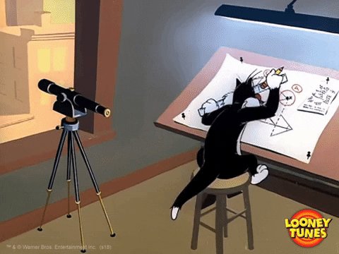Cat Working GIF by Looney T...