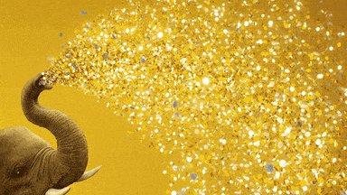 celebrate new year GIF by San Diego Zoo