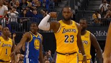 Los Angeles Lakers Lebron James GIF