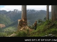 timber GIF