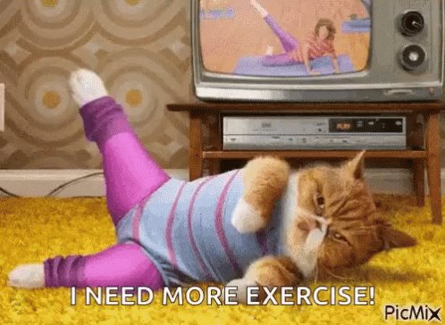 Cat Exercise GIF