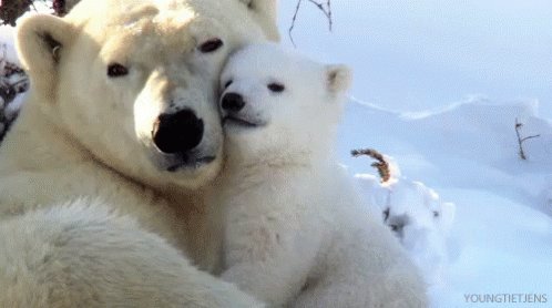 Snuggle GIF