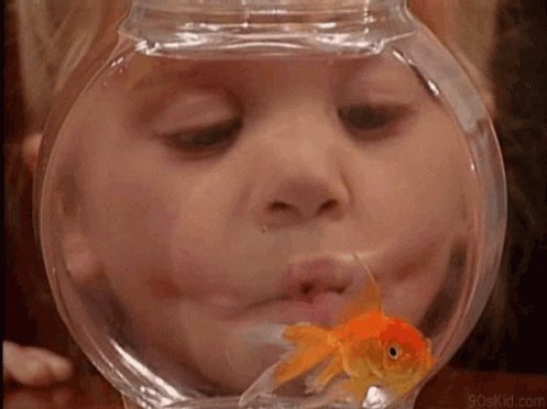 Michelle Tanner Full House GIF