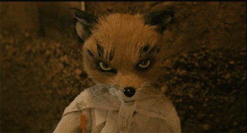 Fantastic Mr Fox Ash GIF