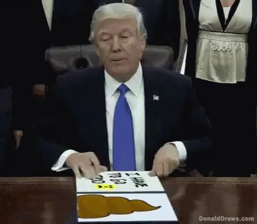 Trump Dumbtru GIF