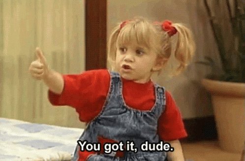 You Got It Dude Ok GIF