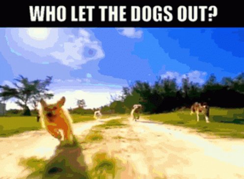 Who Let The Dogs Out Baha M...