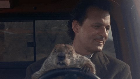 bill murray groundhog GIF b...