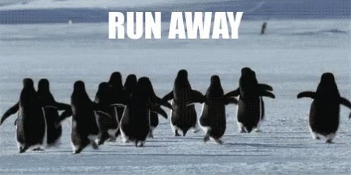 Penguins Run GIF