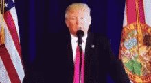 You Trump GIF