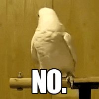 Bird Reaction GIF by Cheezburger