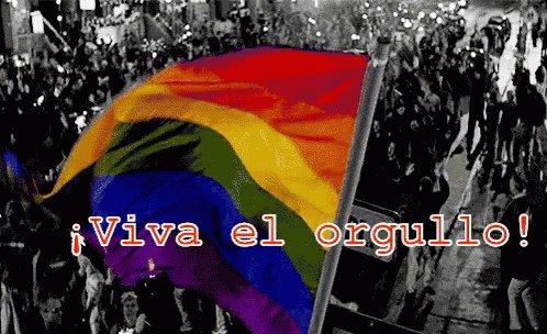 Manifestacion Por El Orgullo GIF