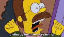 The Simpsons Ned Flanders GIF