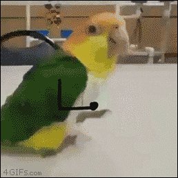 happy fun GIF