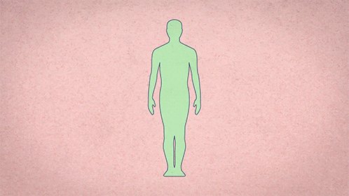 ted-ed animation GIF