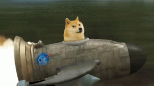 Doge With Rocket GIF