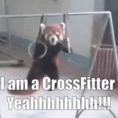Fitness Crossfit GIF