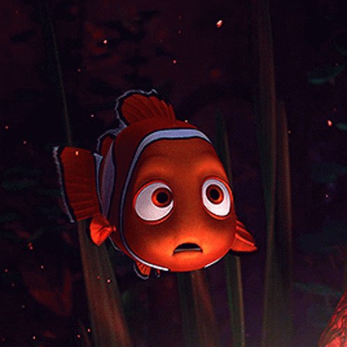 Finding Nemo Confused GIF