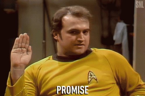 Promise Swear GIF