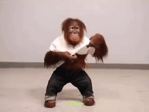 Funny Hairy GIF