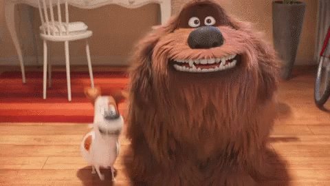 Excited Pets GIF