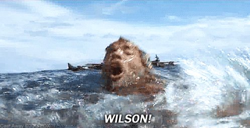 tom hanks wilson GIF by 20t...