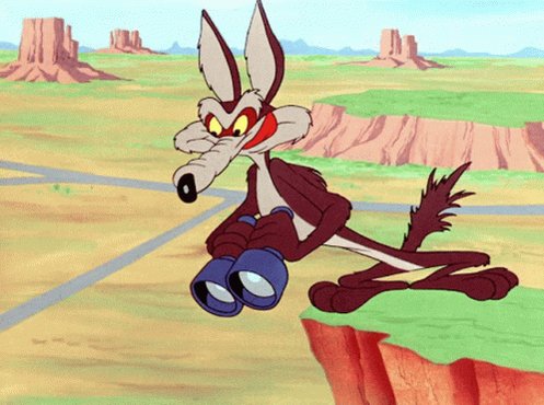 Looney Tunes Coyote GIF