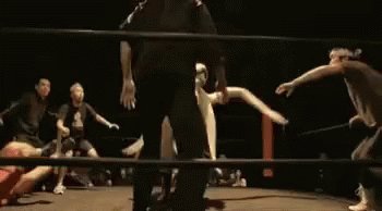 Wrestling Squid GIF