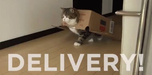 Delivery GIF
